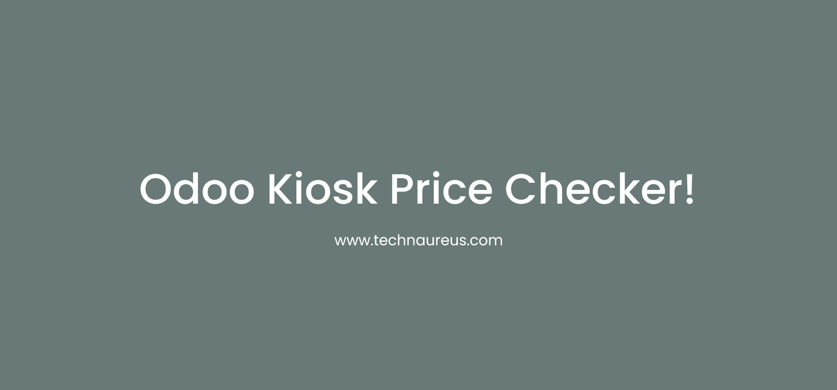 price checker