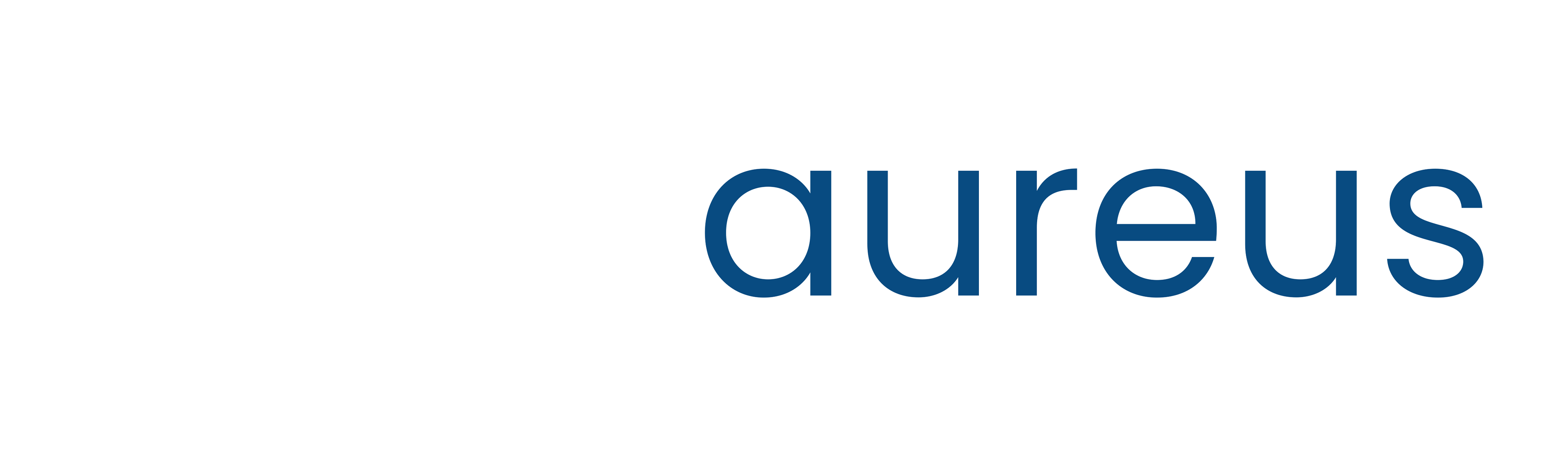 Technaureus Logo